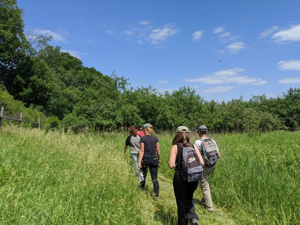 Hikers on the Welsh Hills Trail