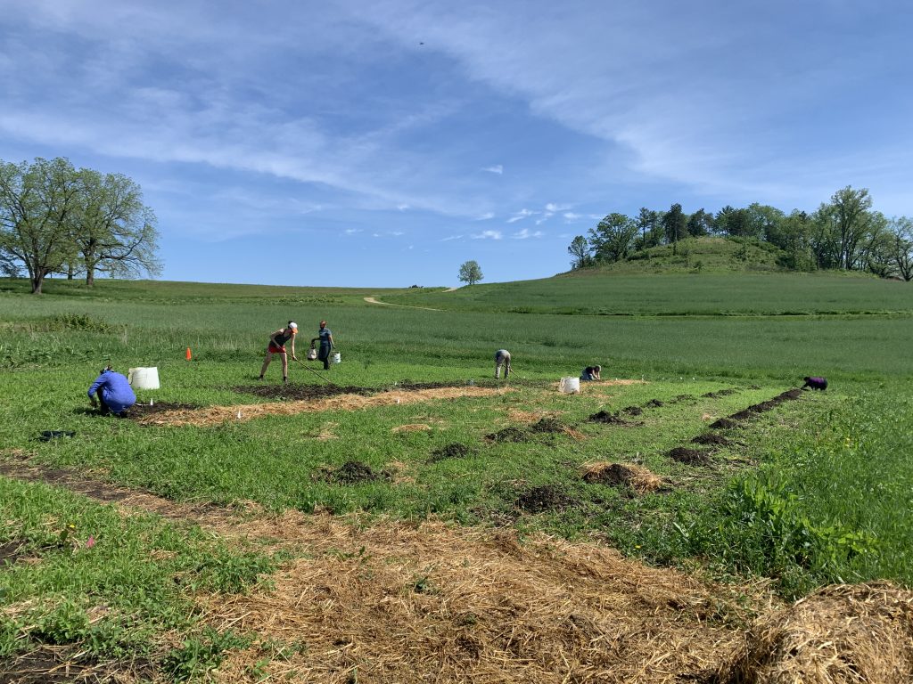 Kitchen Garden. 2020. My Road to Taliesin.