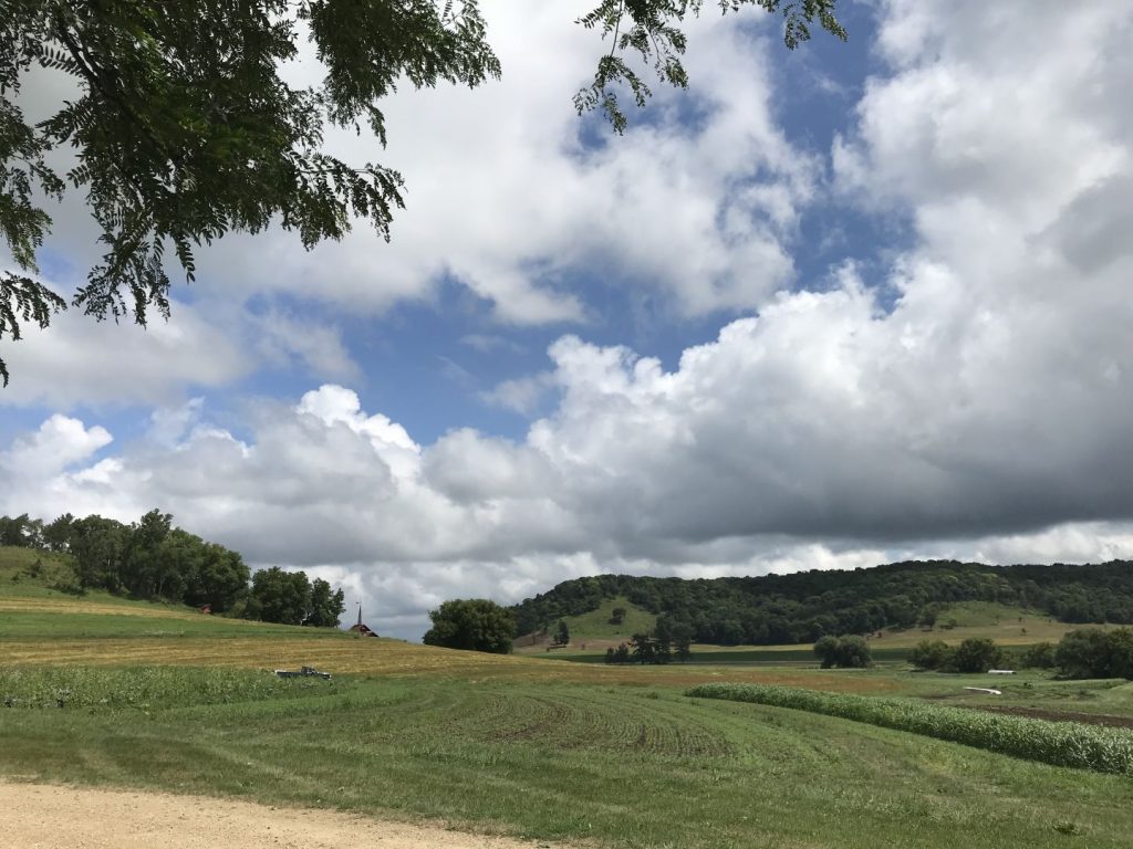 Driftless Landscape