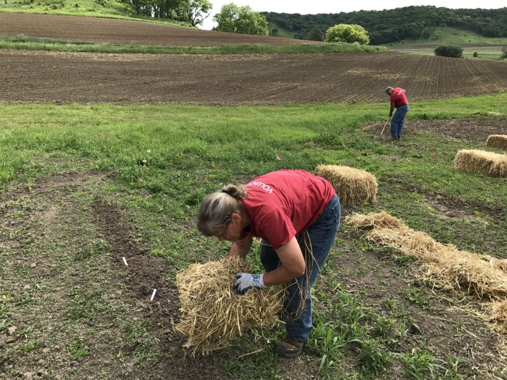 Landscape Volunteer